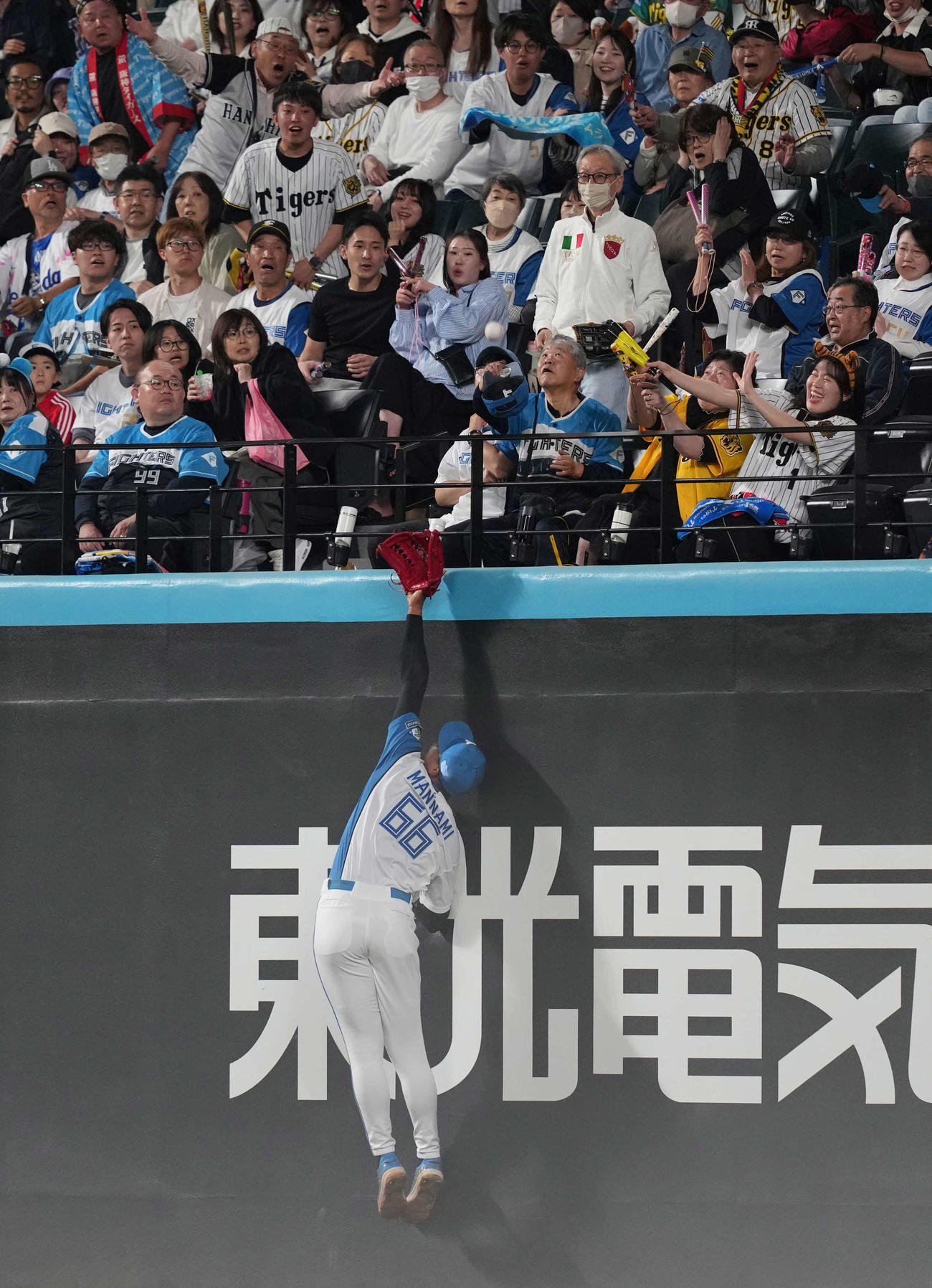 日本ハム対阪神　4回表阪神1死、佐藤輝明の打球にグラブを出す万波（撮影・井上学）