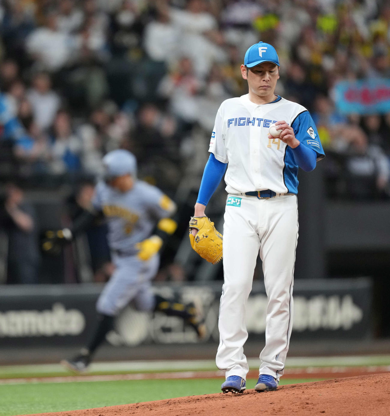 日本ハム対阪神　4回表阪神1死、佐藤輝に本塁打を浴びた加藤貴（撮影・井上学）