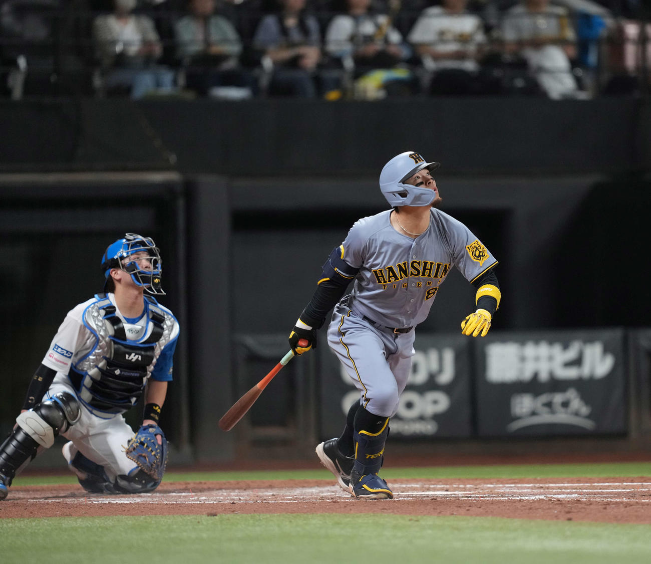 日本ハム対阪神　4回表阪神1死、右越え本塁打を放つ佐藤輝（撮影・井上学）