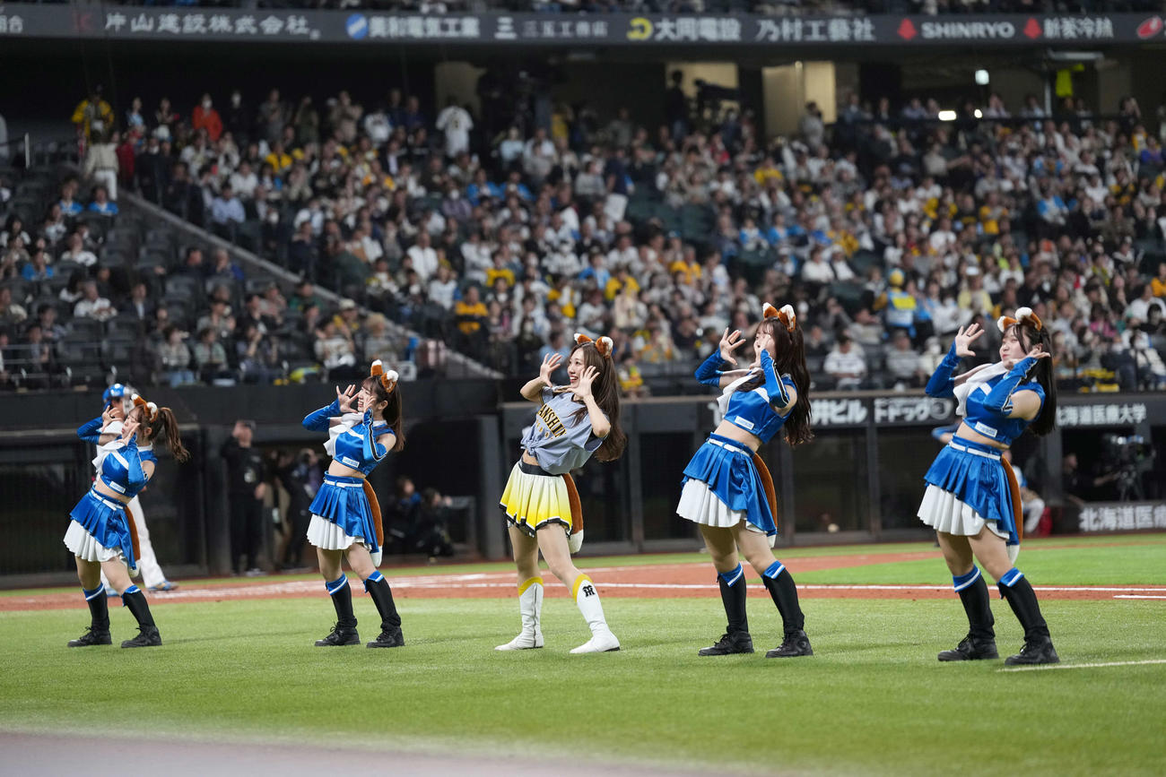 日本ハム対阪神　きつねダンスを踊るファイターズガールとタイガースガールズ（撮影・井上学）