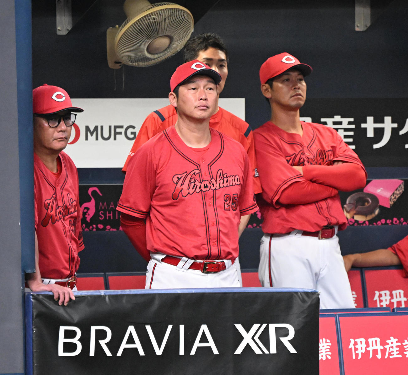 オリックス対広島　6回、ベンチから戦況を見る広島新井監督（撮影・和賀正仁）