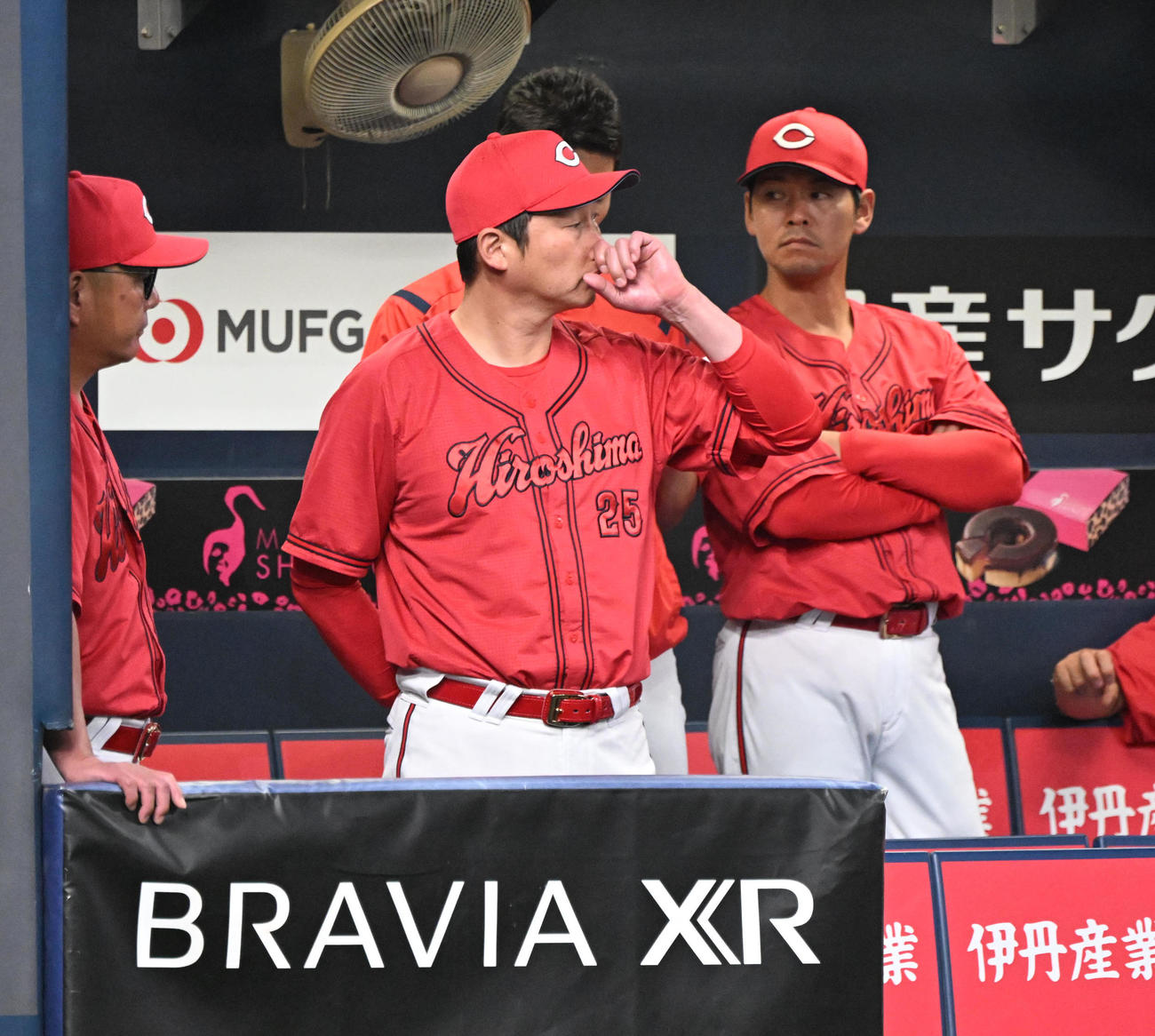 オリックス対広島　6回、ベンチから戦況を見る広島新井監督（撮影・和賀正仁）