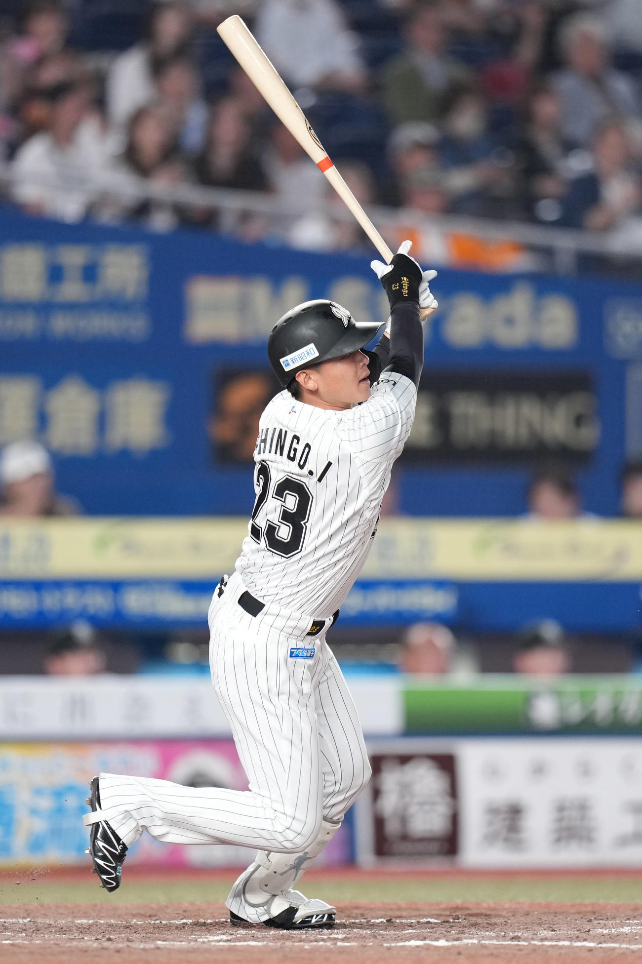 ロッテ対巨人　5回裏ロッテ無死、中飛に倒れる代打石川慎（撮影・鈴木みどり）