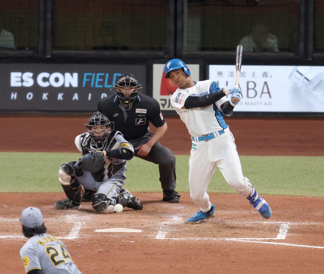 日本ハム対阪神　5回裏日本ハム2死一、二塁、中前適時打を放つ万波（撮影・黒川智章）