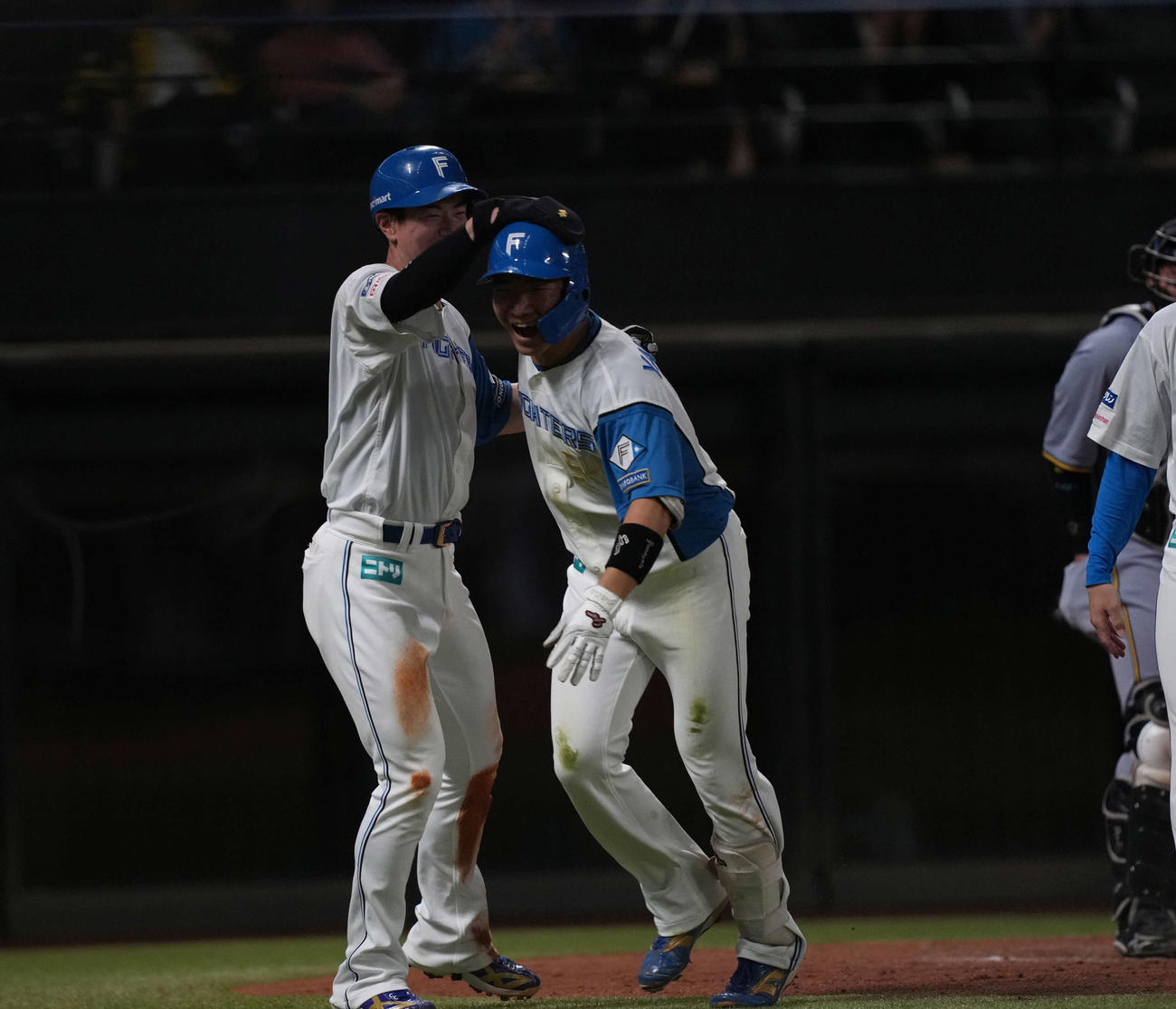 日本ハム対阪神　4回裏日本ハム2死一塁、、山縣（右）は2点本塁打を放ち生還する（撮影・井上学）