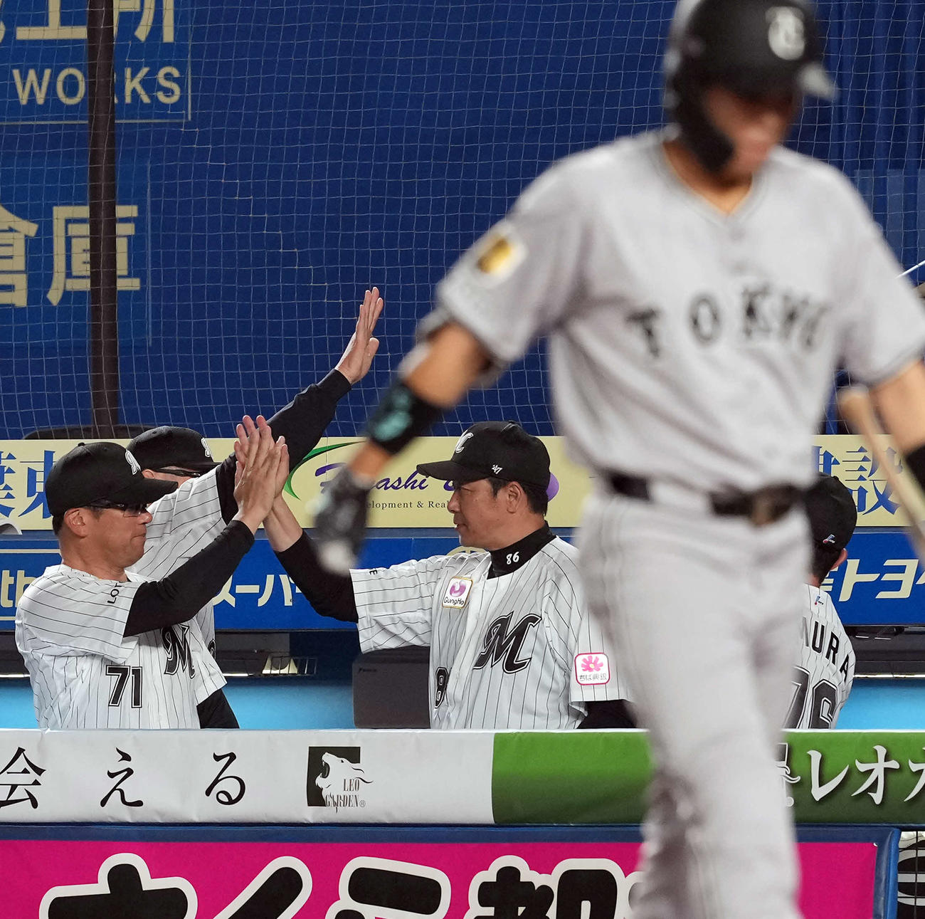 ロッテ対巨人　5－3で巨人に勝利したロッテサブローヘッドコーチ（右）は監督、首脳陣とハイタッチ（撮影・たえ見朱実）