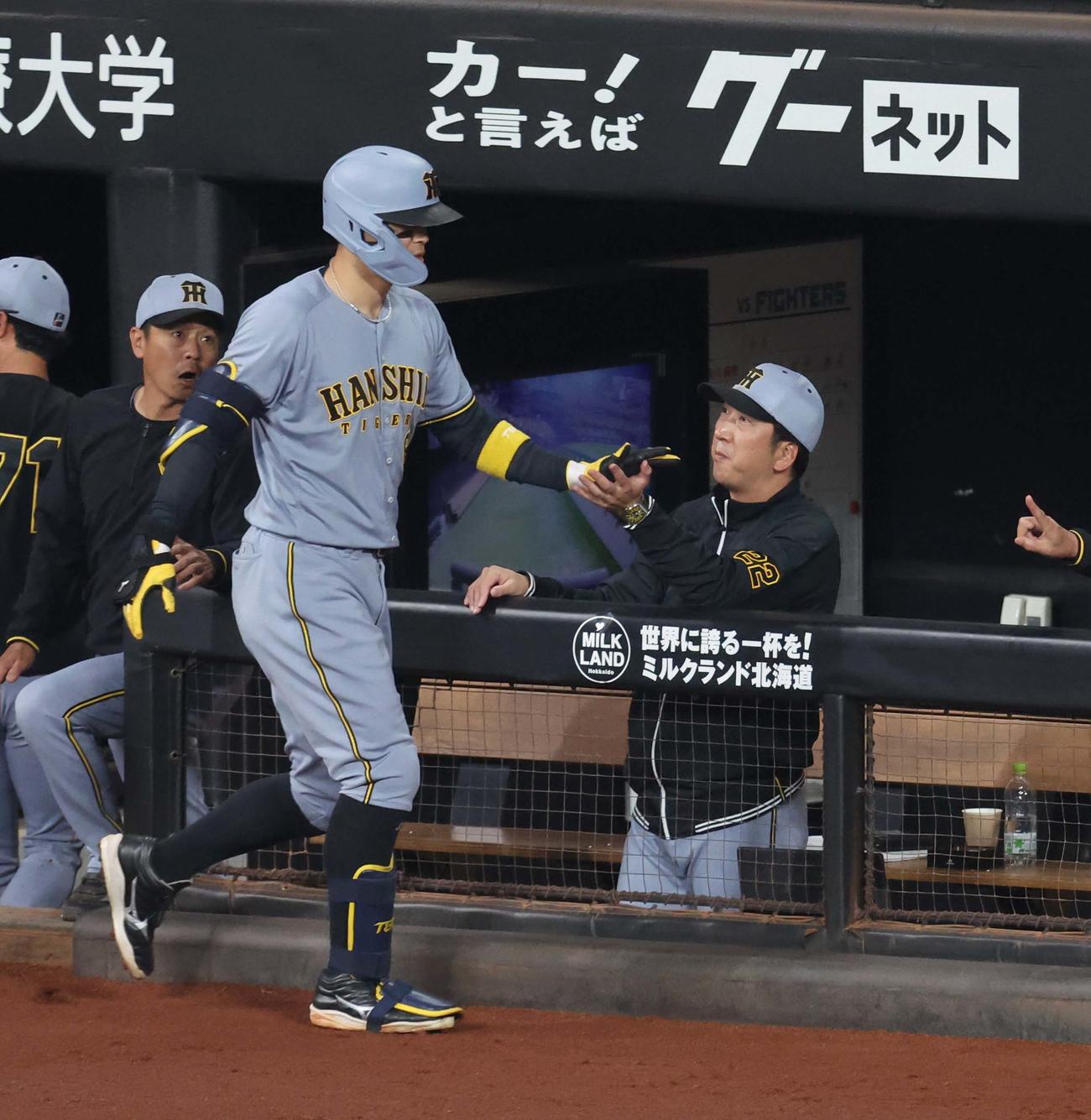 日本ハム対阪神　4回表阪神1死、右中間に本塁打を放つ佐藤輝を出迎える藤川監督（撮影・黒川智章）