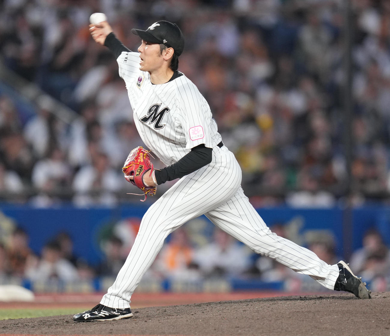 ロッテ対巨人　先発し力投するロッテ石川柊（撮影・鈴木みどり）