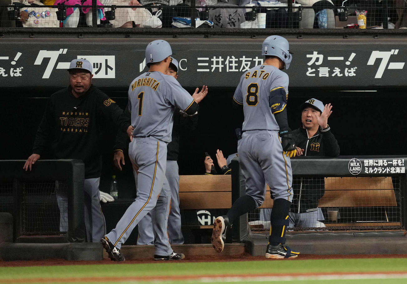 日本ハム対阪神　8回表阪神2死一塁、2点本塁打を放ち生還した佐藤輝を出迎える藤川監督（右）（撮影・井上学）
