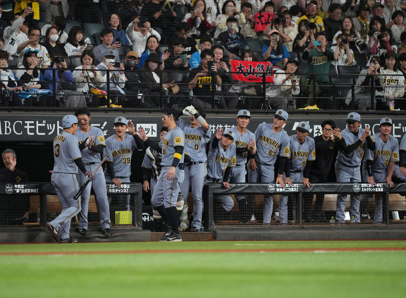 日本ハム対阪神　4回表阪神1死、本塁打を放った大山を出迎えるナイン（撮影・井上学）