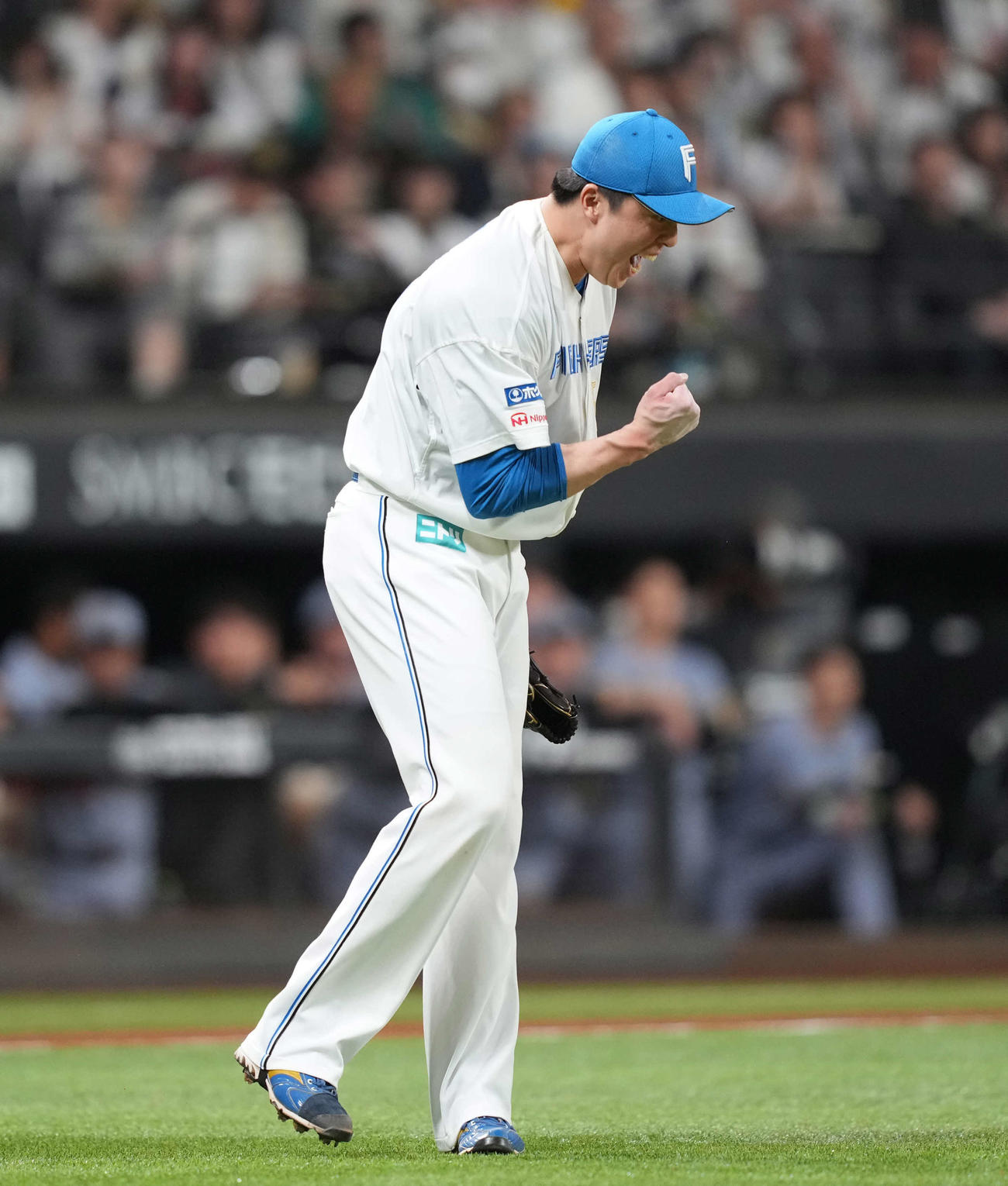 日本ハム対阪神　最後を締め雄たけびを上げる日本ハム田中（撮影・井上学）