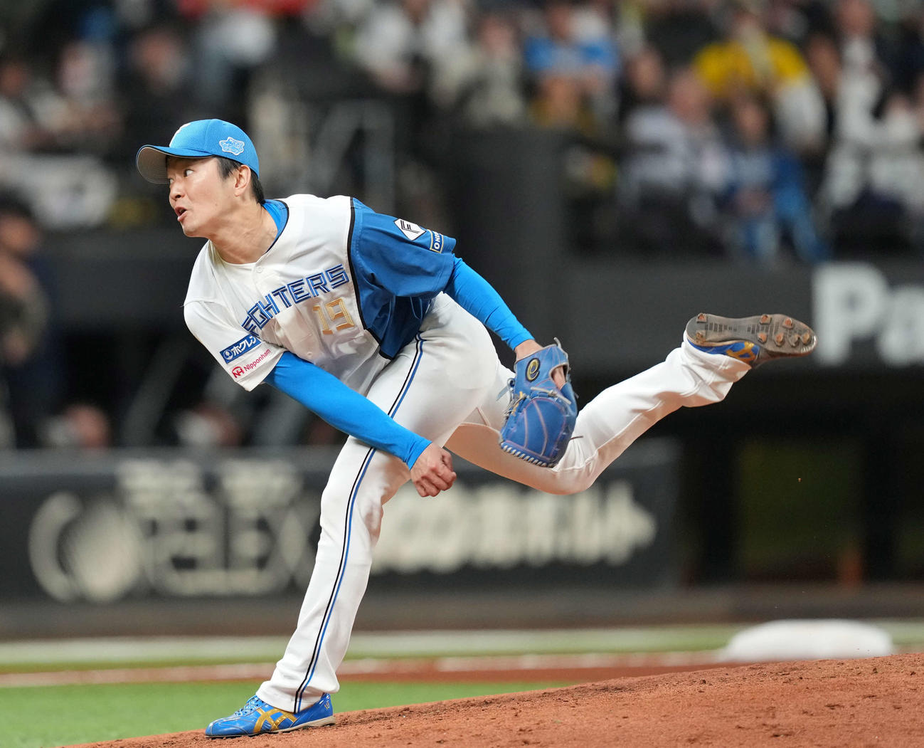 日本ハム対阪神　力投する日本ハム玉井（撮影・井上学）