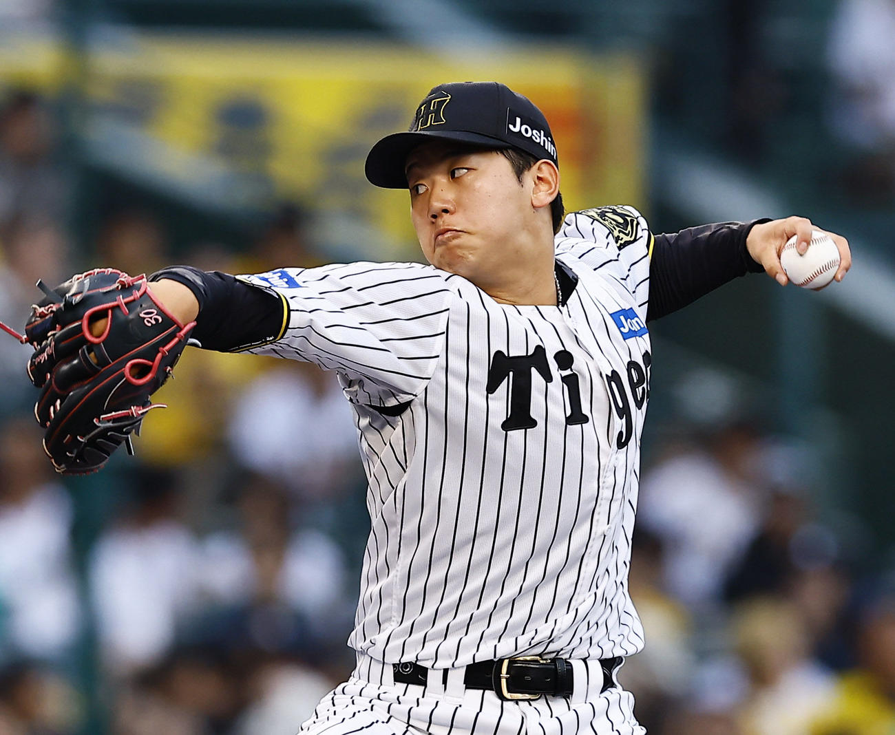 阪神門別啓人（2025年撮影）