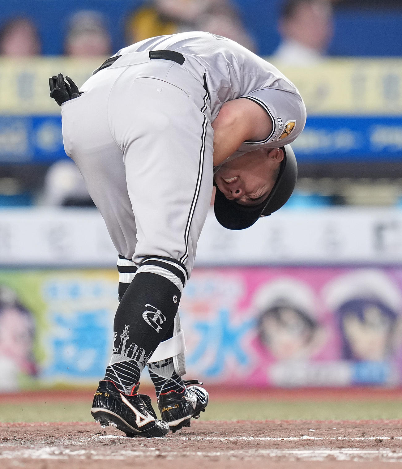 ロッテ対巨人　5回表巨人2死一塁、死球を受け痛がる浅野（撮影・鈴木みどり）