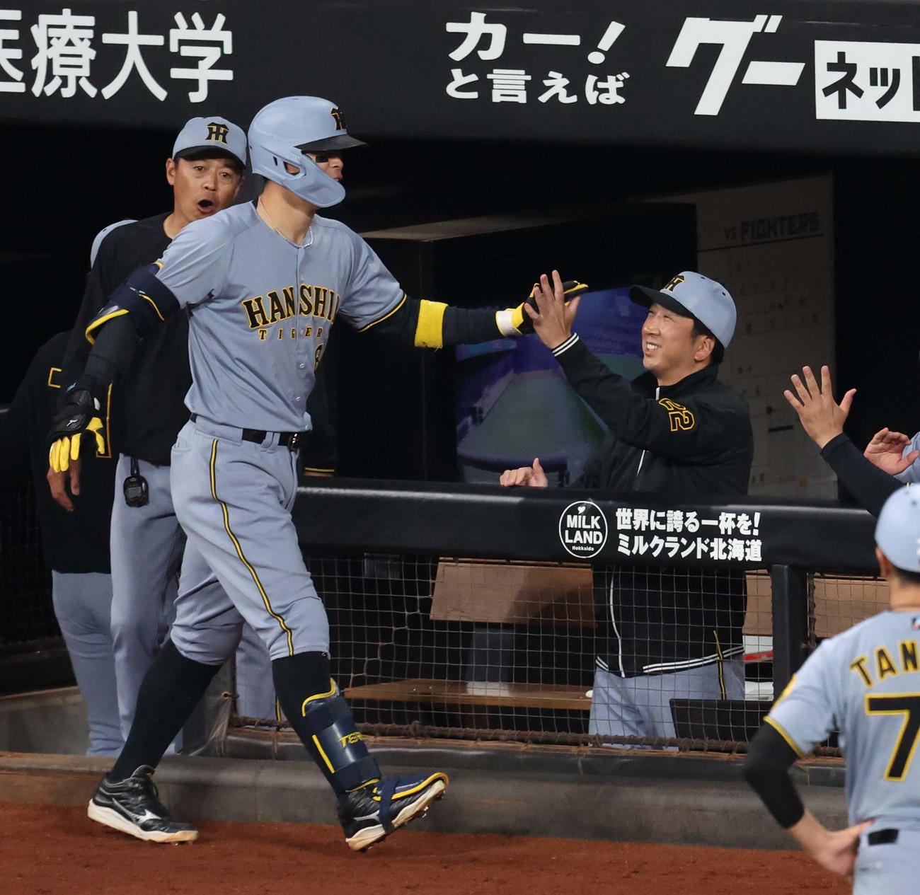 日本ハム対阪神　8回表阪神無死、右越え本塁打を放った佐藤輝を出迎える藤川監督（撮影・黒川智章）