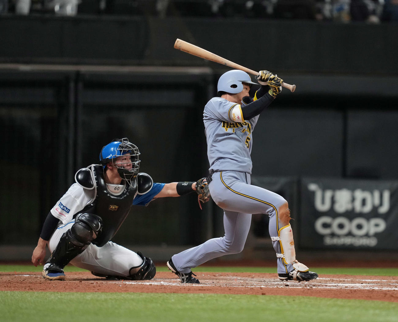 日本ハム対阪神　8回阪神2死一、三塁、適時打を放つ近本（撮影・井上学）