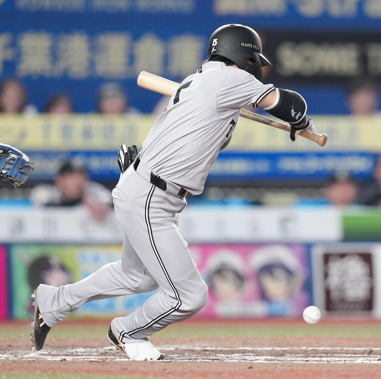 ロッテ対巨人　8回表巨人1死、セーフティーバントで出塁する門脇（撮影・鈴木みどり）