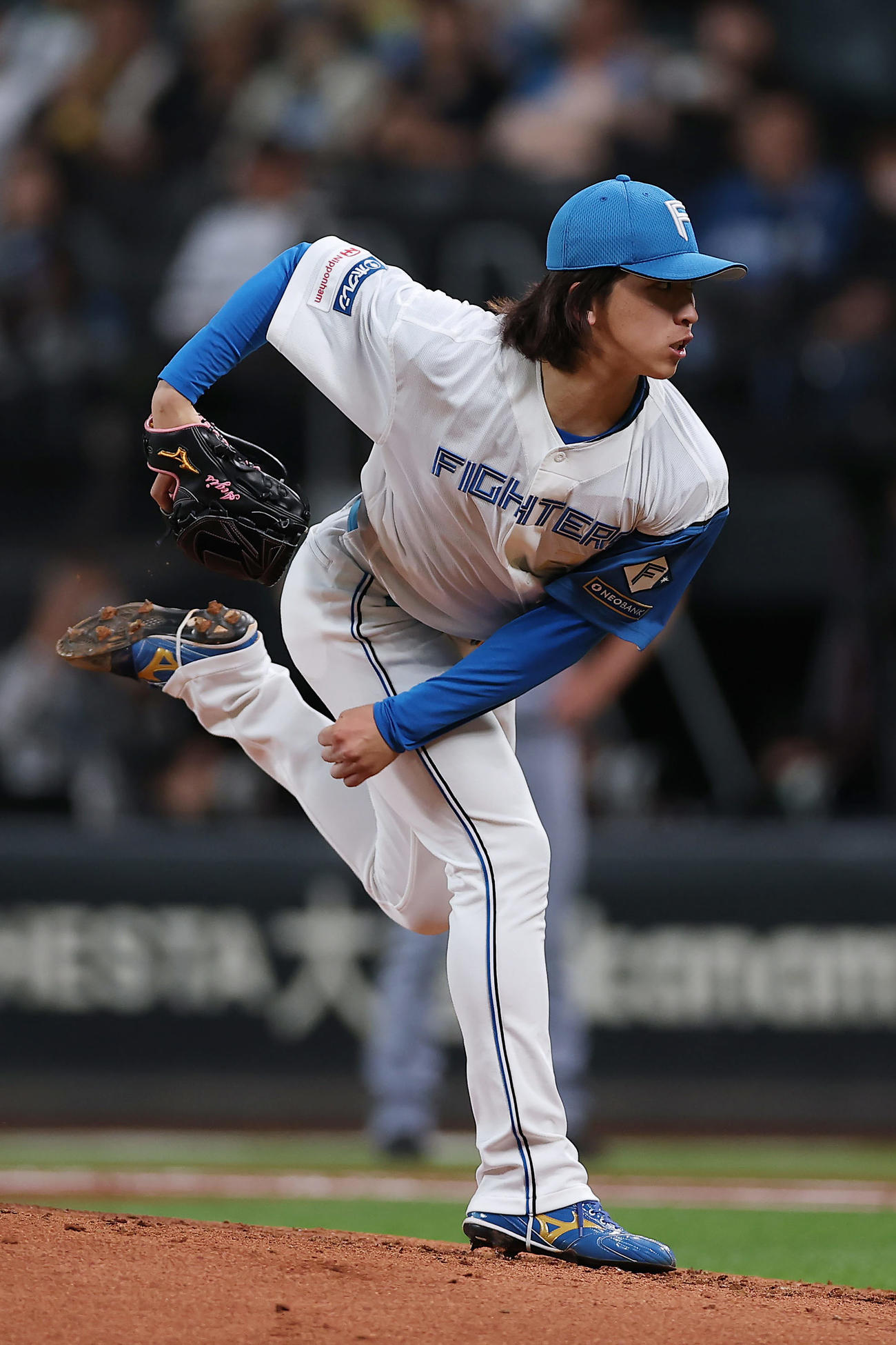 日本ハム対阪神　力投する日本ハム先発の細野（撮影・前田充）