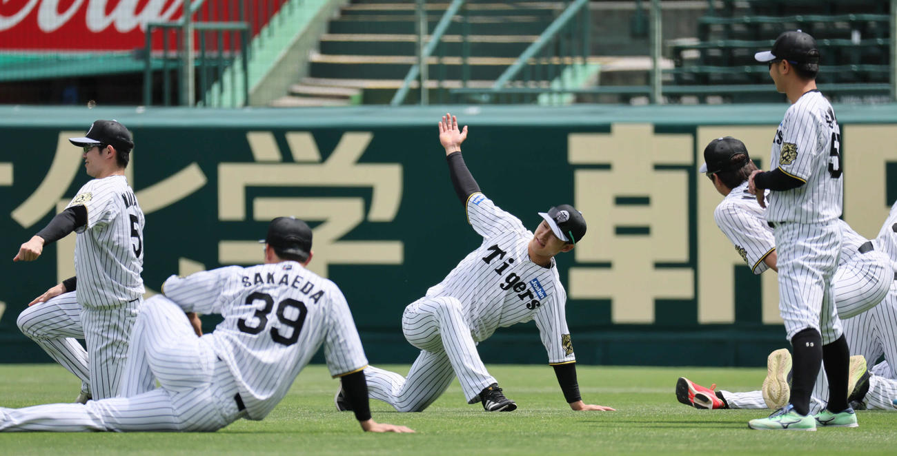 阪神対オリックス　1軍に合流した阪神小幡（中央）（撮影・宮崎幸一）