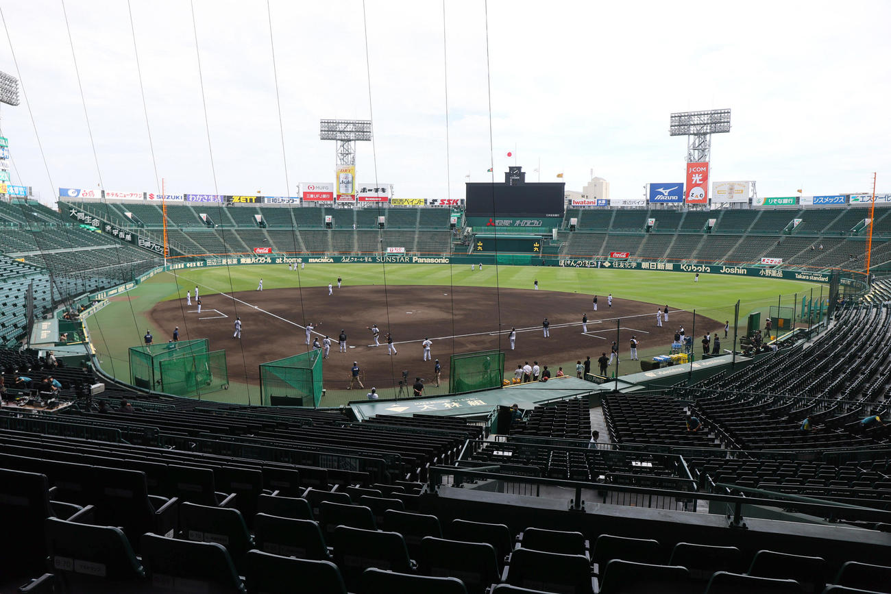 阪神対オリックス　試合前の練習でシートノックする阪神の選手ら（撮影・上山淳一）