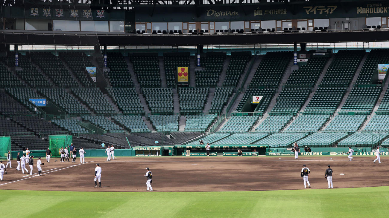 阪神対オリックス　練習はシートノックから行った阪神ナイン（撮影・加藤哉）