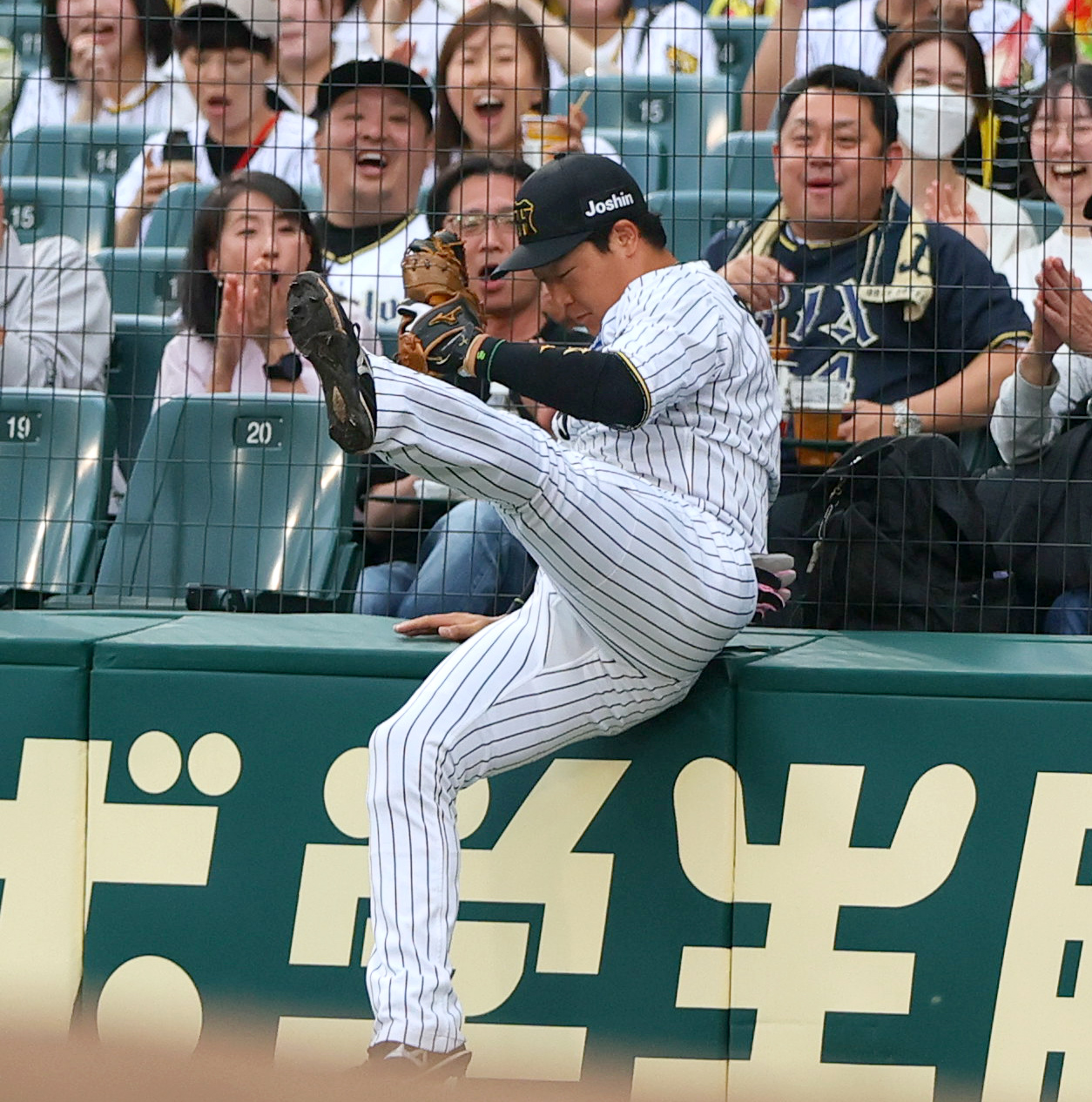 阪神対オリックス　1回表オリックス2死一塁、大山は頓宮の一邪飛を好捕する（撮影・上山淳一）