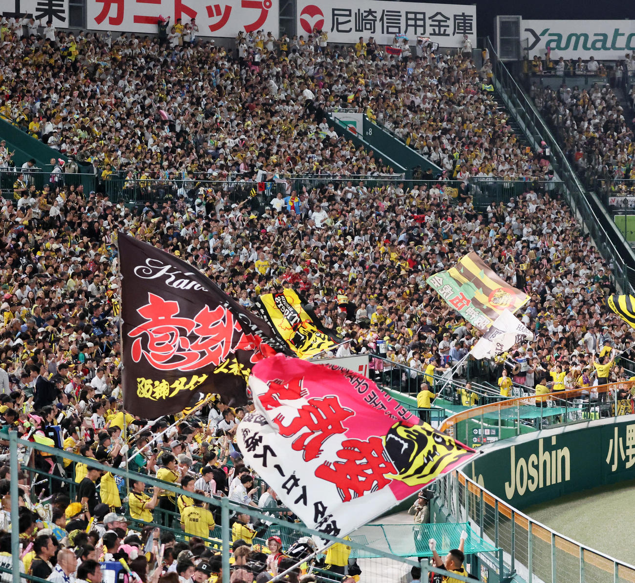 阪神対オリックス　盛り上がる阪神ファン（撮影・加藤哉）