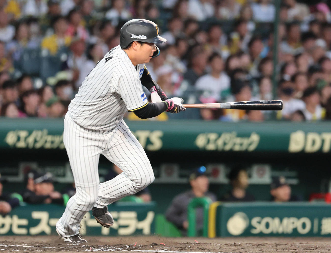 阪神対オリックス　5回裏阪神無死一塁、大山悠輔は三ゴロ併殺打に倒れる（撮影・宮崎幸一）