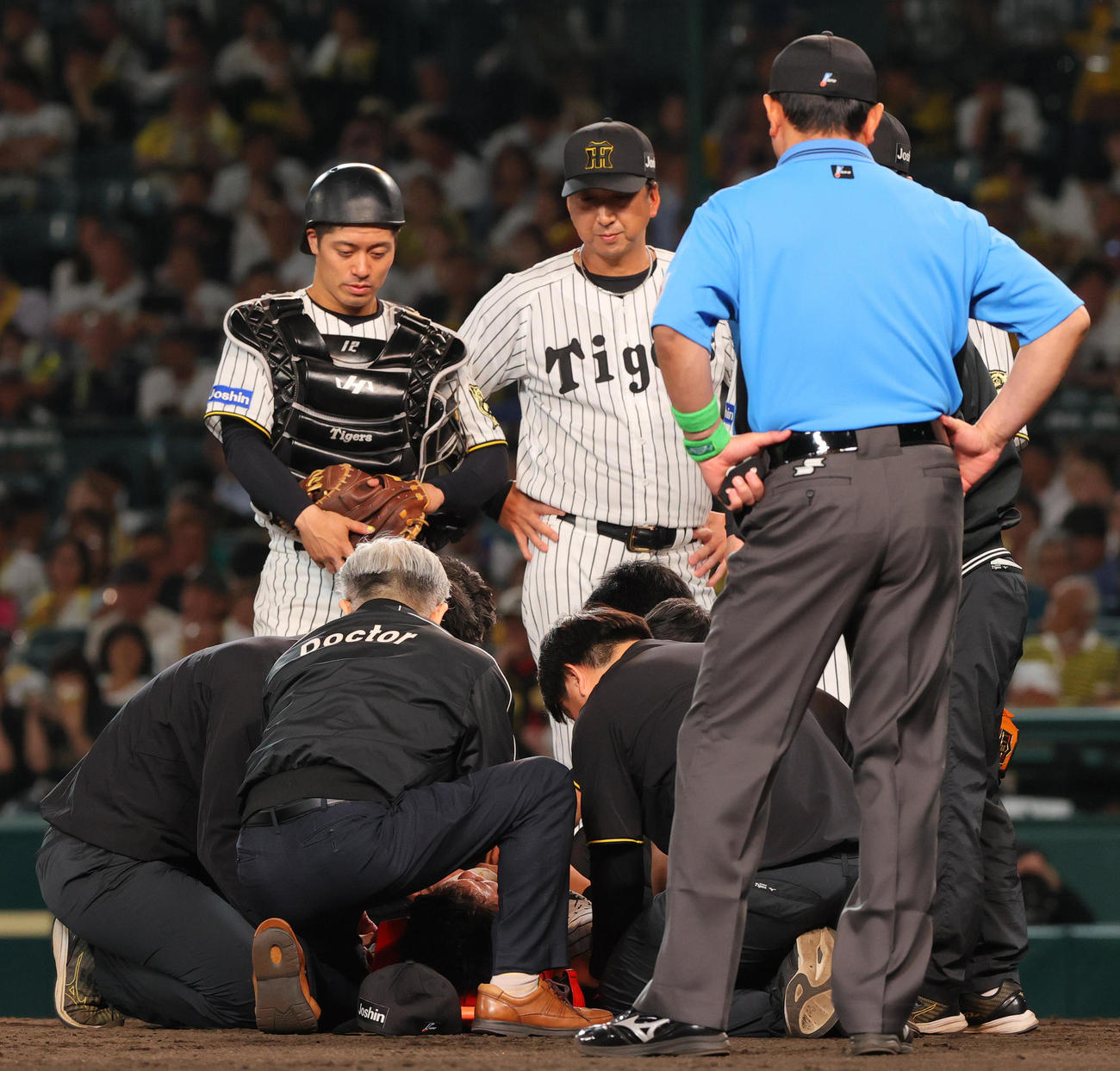 阪神オリックス　9回表オリックス無死、広岡の打球が頭部に当たった石井（下）を心配そうに見つめる坂本（左）と藤川監督（左から2人目）（撮影・上山淳一）