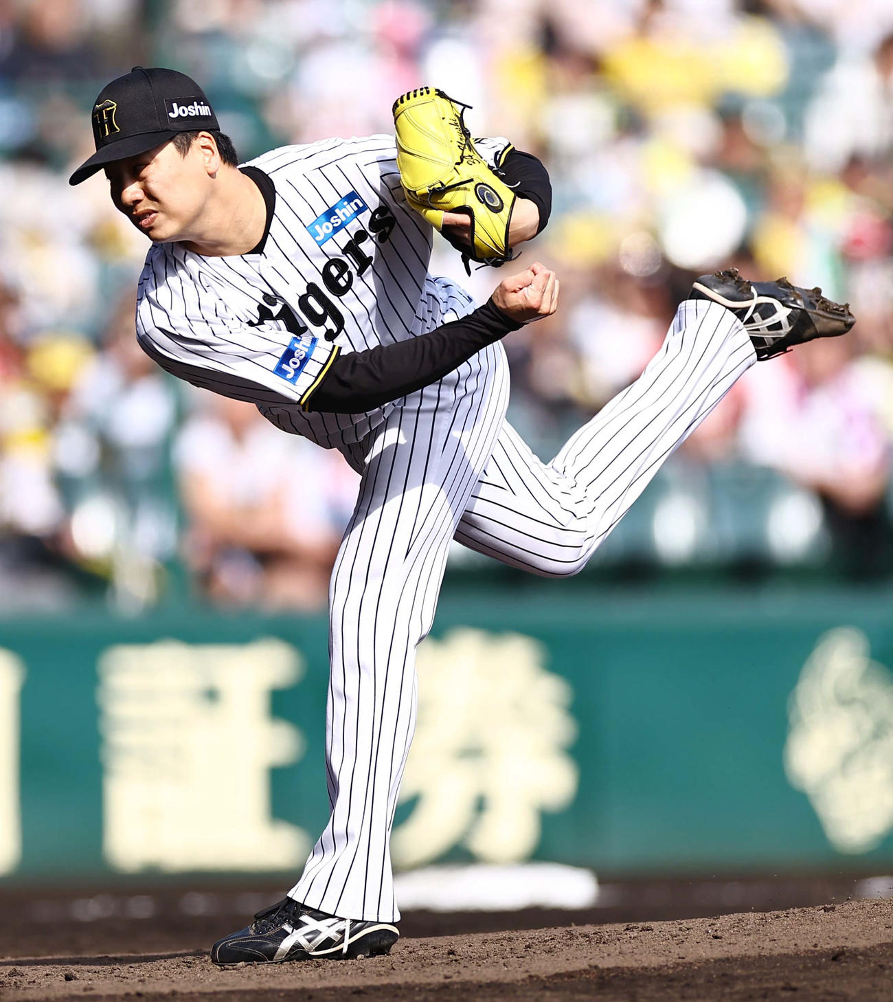 阪神・漆原大晟（2025年4月19日撮影）