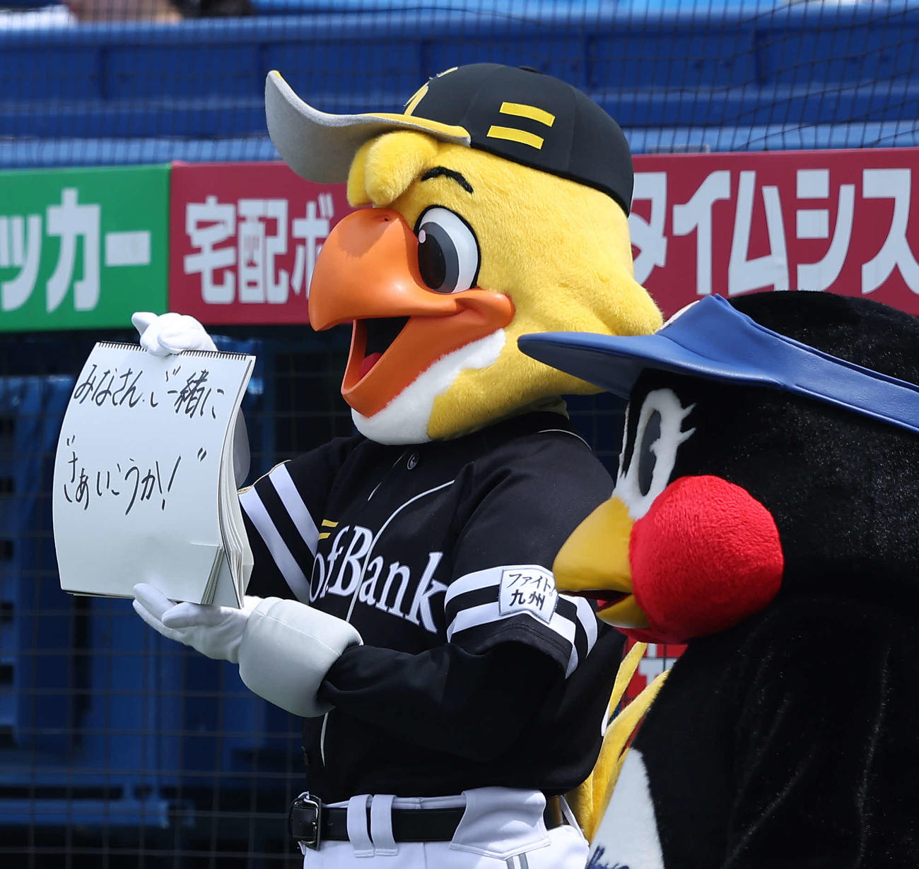 ヤクルト対ソフトバンク　試合前、フリップ芸を務めるハリーホーク（左）とつばみ（撮影・河田真司）