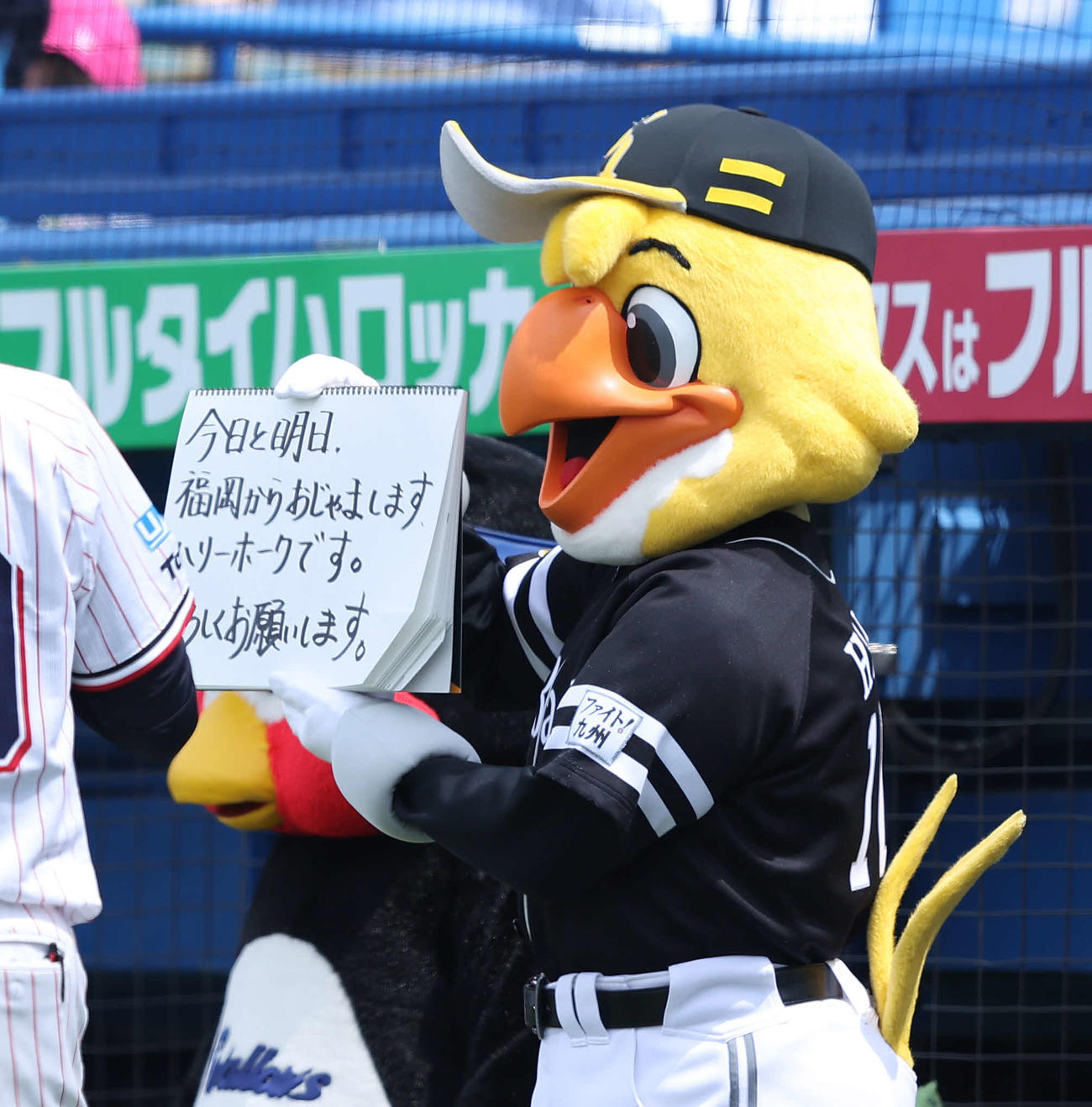 ヤクルト対ソフトバンク　試合前、フリップ芸を務めるハリーホーク（撮影・河田真司）