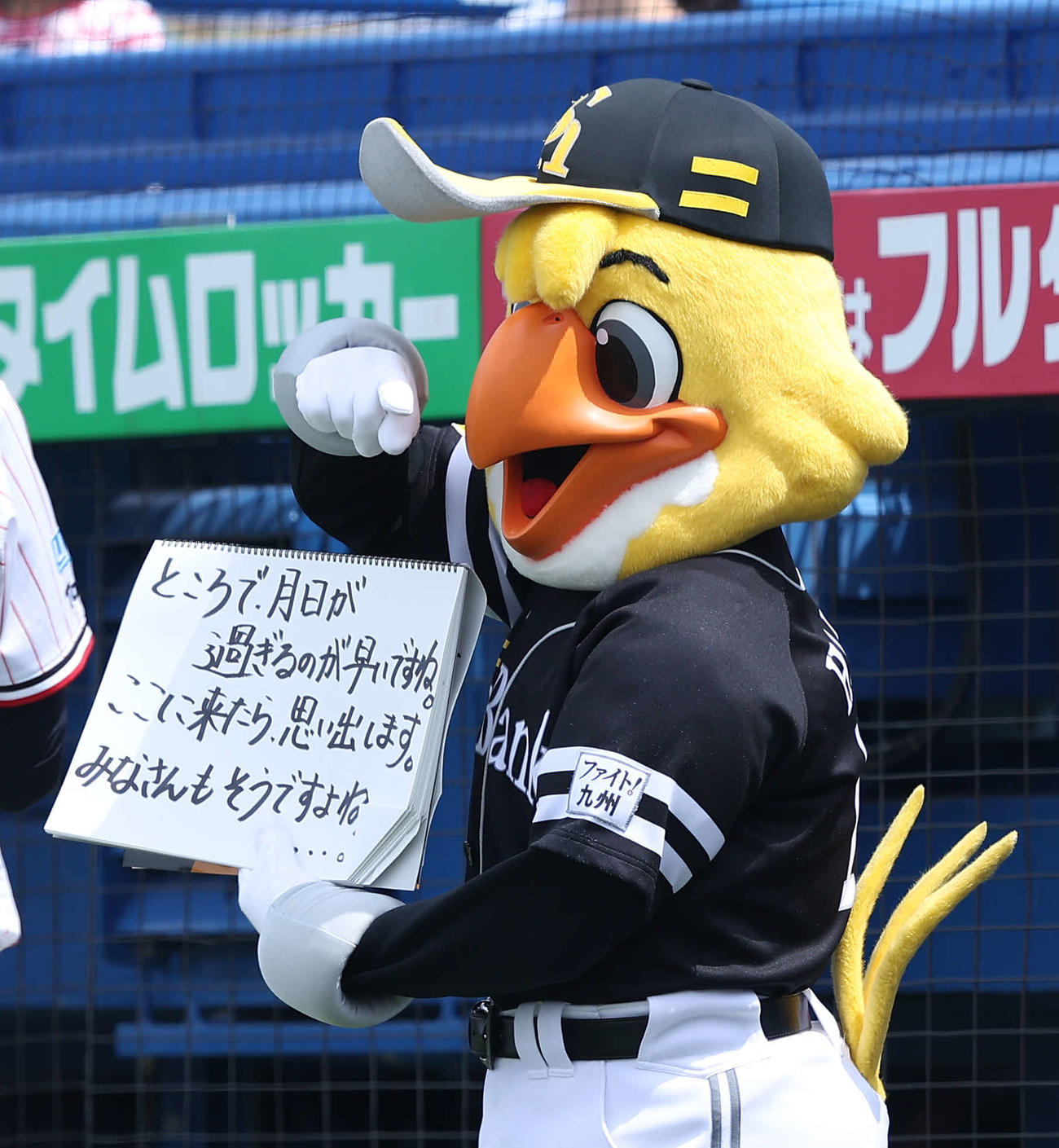 ヤクルト対ソフトバンク　試合前、フリップ芸を務めるハリーホーク（撮影・河田真司）
