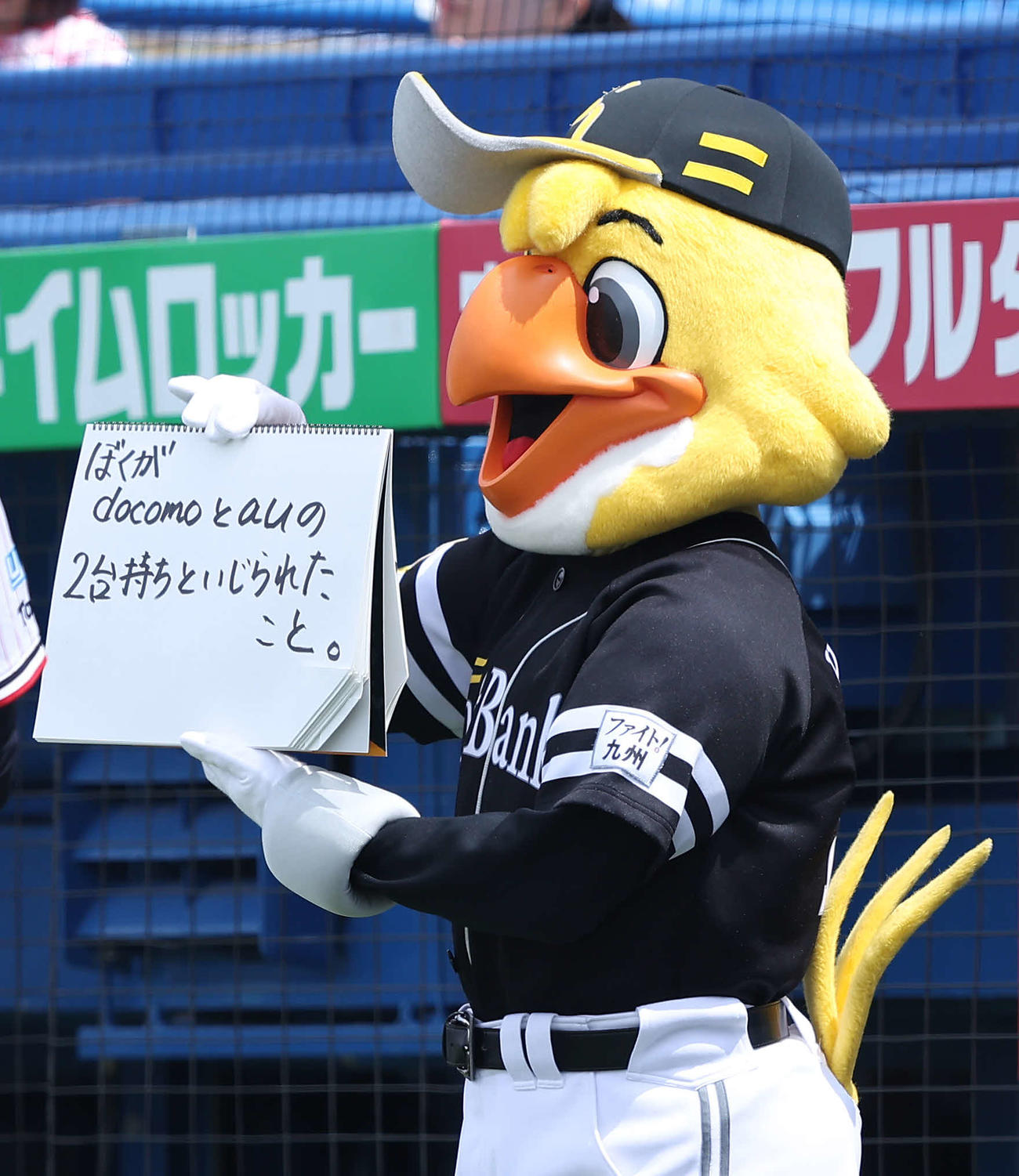 ヤクルト対ソフトバンク　試合前、フリップ芸を務めるハリーホーク（撮影・河田真司）