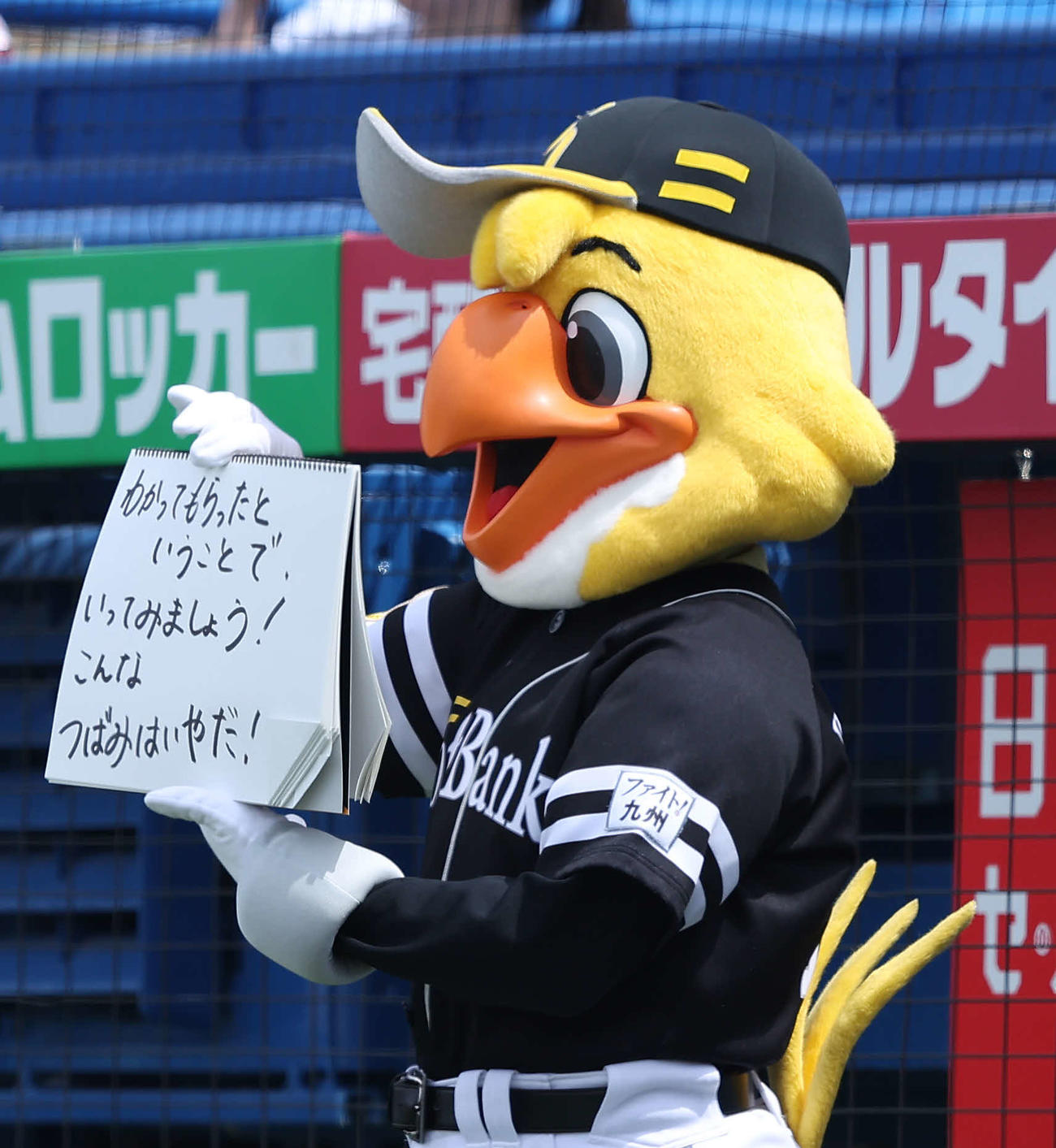 ヤクルト対ソフトバンク　試合前、フリップ芸を務めるハリーホーク（撮影・河田真司）