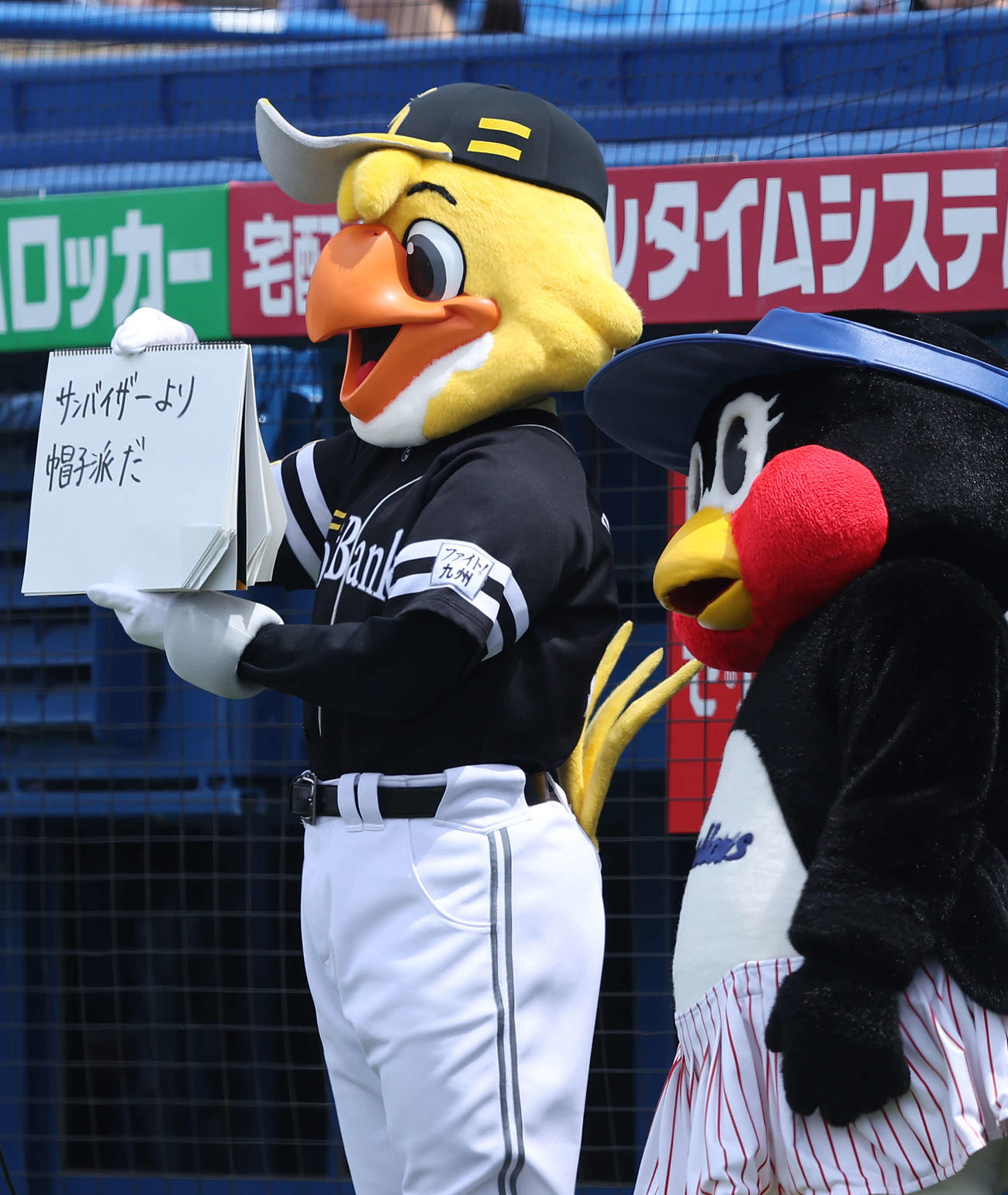 ヤクルト対ソフトバンク　試合前、フリップ芸を務めるハリーホーク（左）とつばみ（撮影・河田真司）