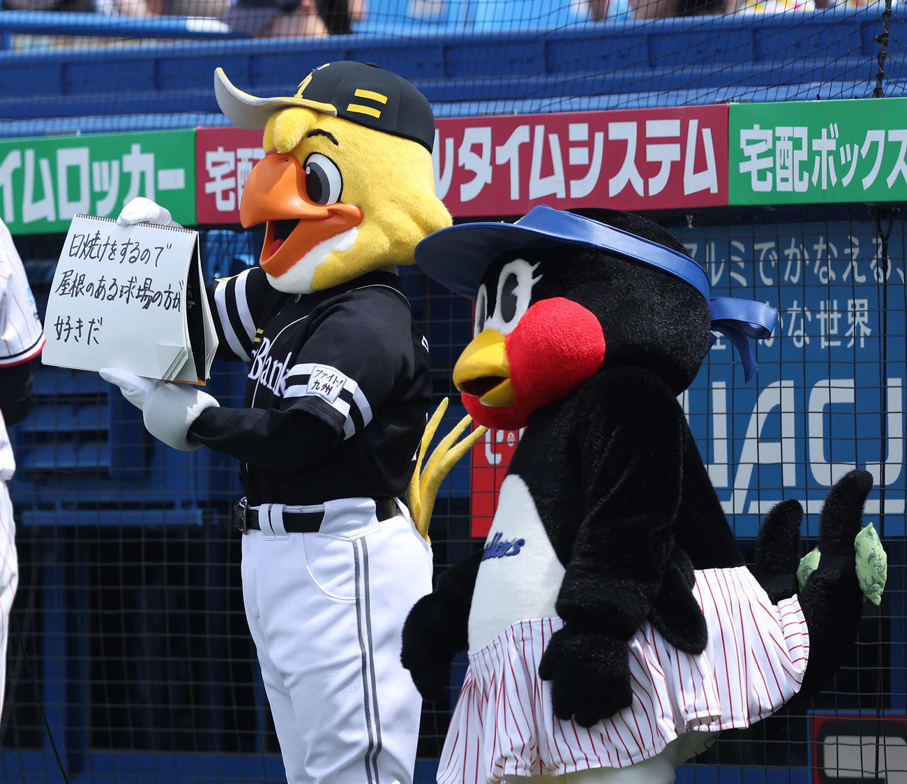 ヤクルト対ソフトバンク　試合前、フリップ芸を務めるハリーホーク（左）とつばみ（撮影・河田真司）
