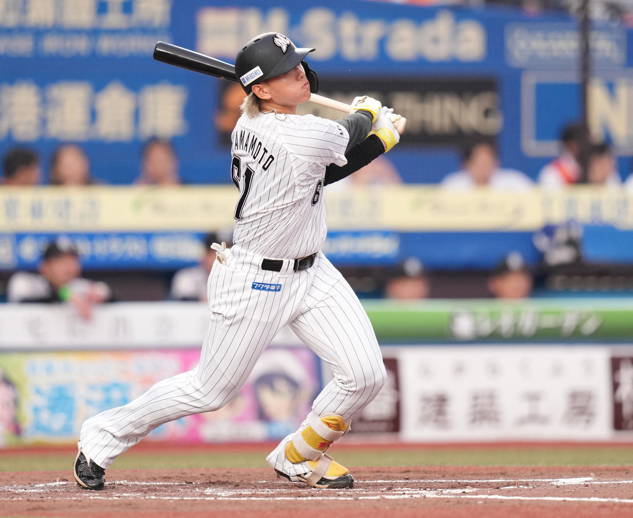 ロッテ山本大斗（2025年撮影）