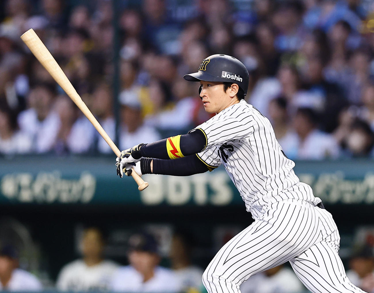 阪神対オリックス　3回裏阪神2死、近本は中前打を放つ（撮影・藤尾明華）