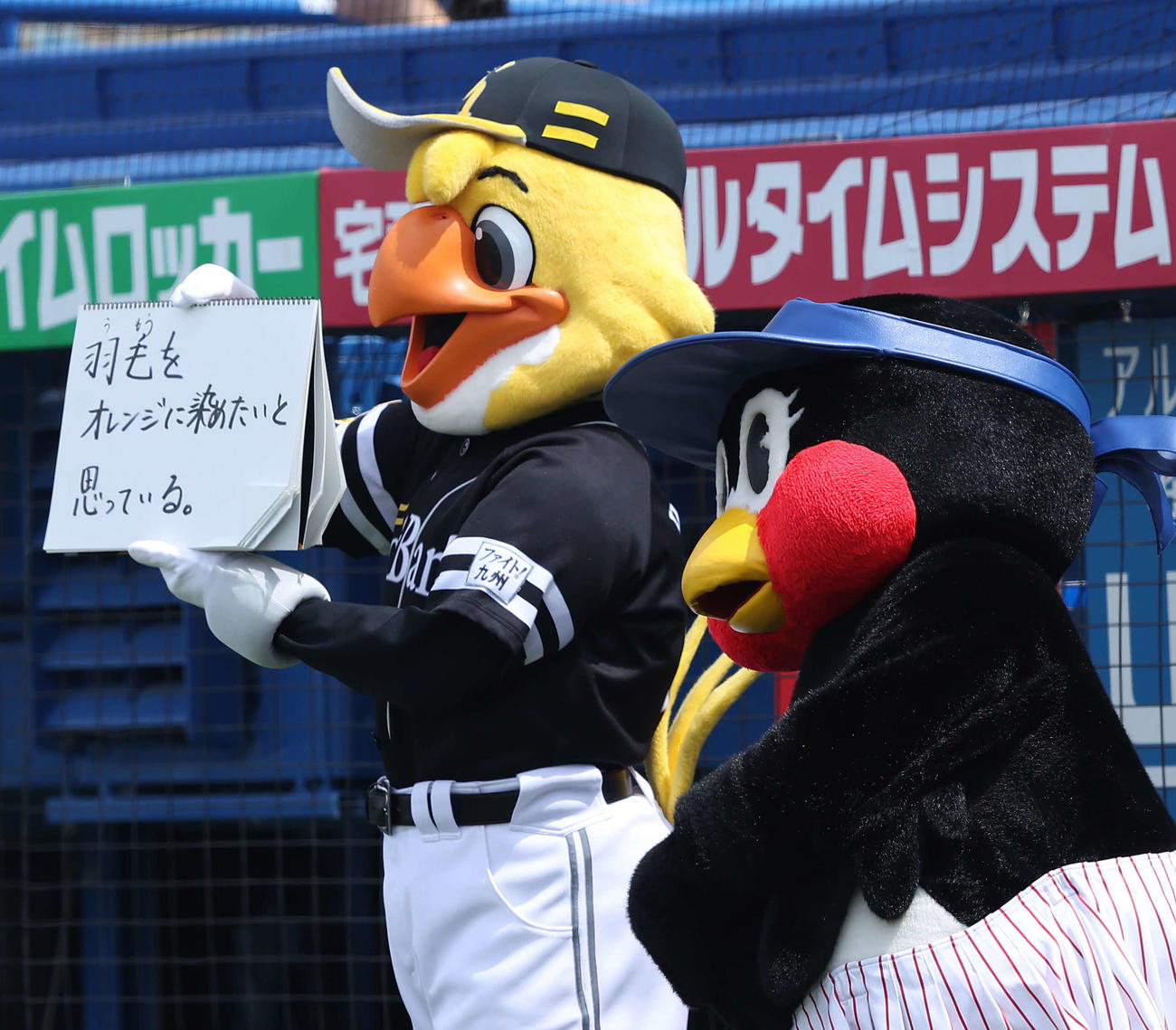 ヤクルト対ソフトバンク　試合前、フリップ芸を務めるハリーホーク（左）とつばみ（撮影・河田真司）