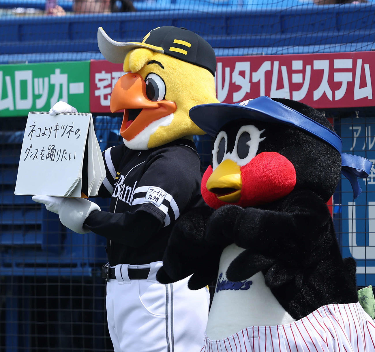 ヤクルト対ソフトバンク　試合前、フリップ芸を務めるハリーホーク（左）とつばみ（撮影・河田真司）