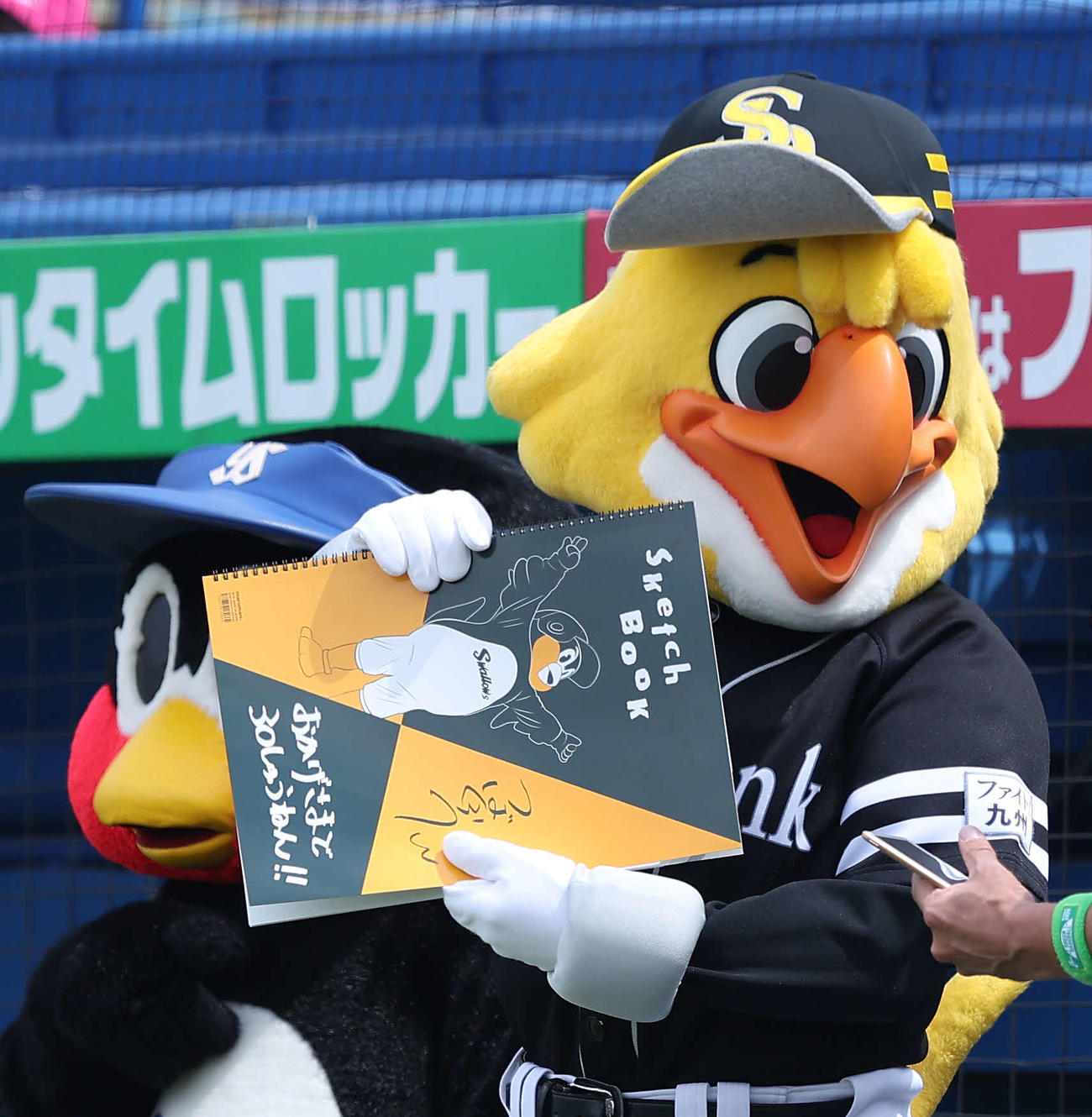 ヤクルト対ソフトバンク　試合前、フリップ芸を務めるハリーホーク（撮影・河田真司）