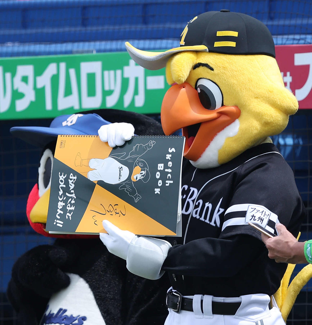 ヤクルト対ソフトバンク　試合前、フリップ芸を務めるハリーホーク（撮影・河田真司）