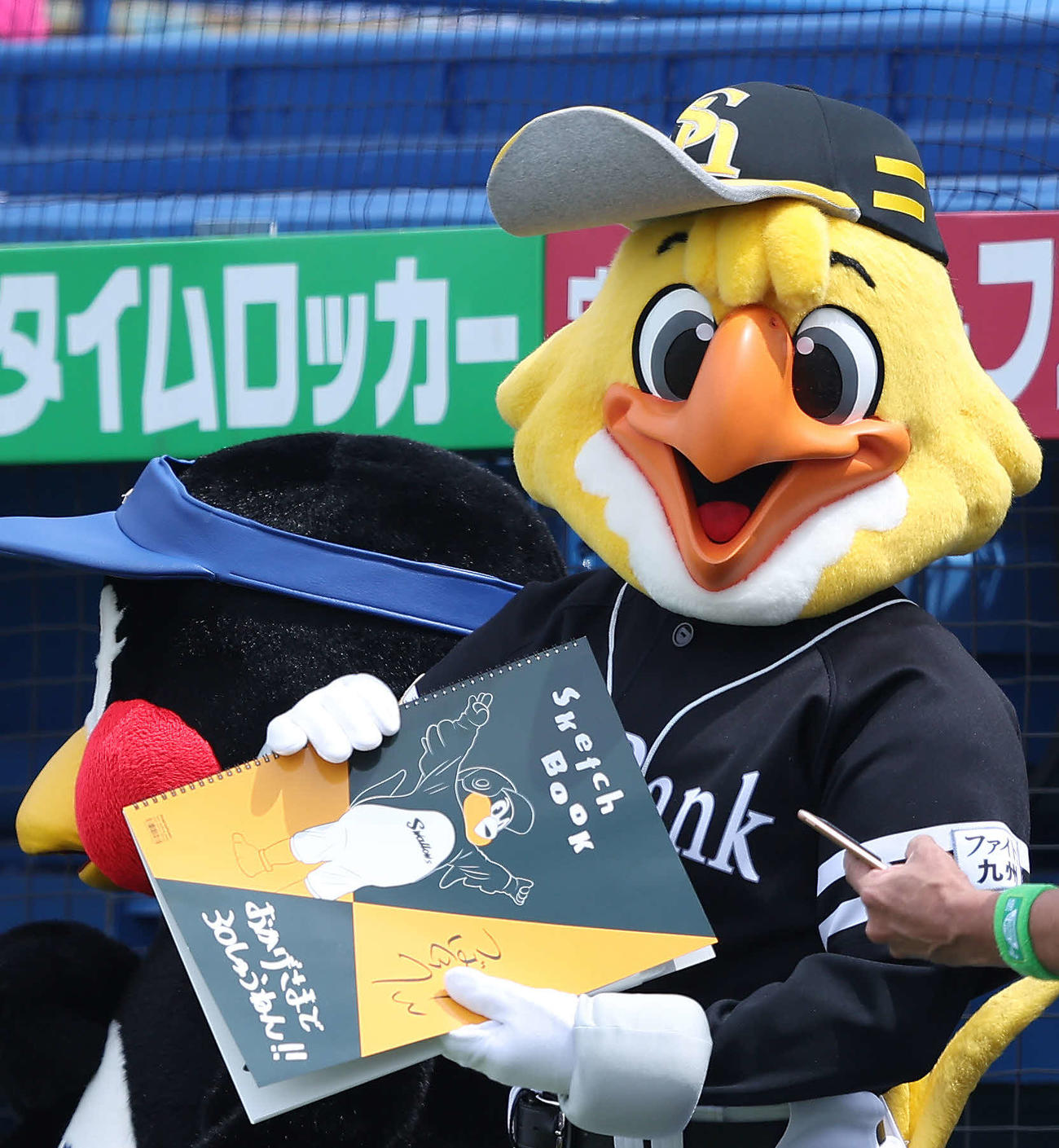 ヤクルト対ソフトバンク　試合前、フリップ芸を務めるハリーホーク（撮影・河田真司）