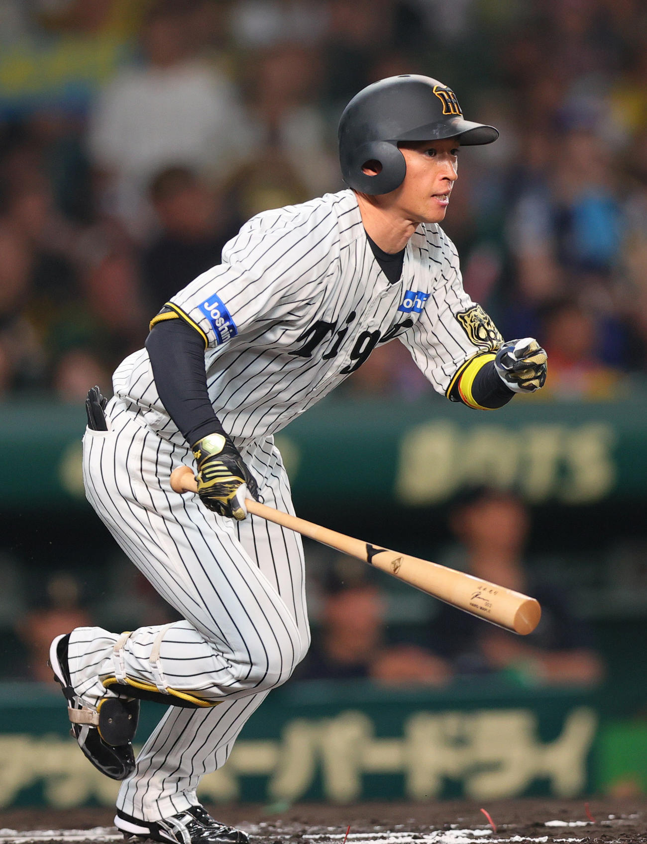 阪神対オリックス　6回裏阪神無死一塁、近本は右前打を放つ（撮影・上山淳一）