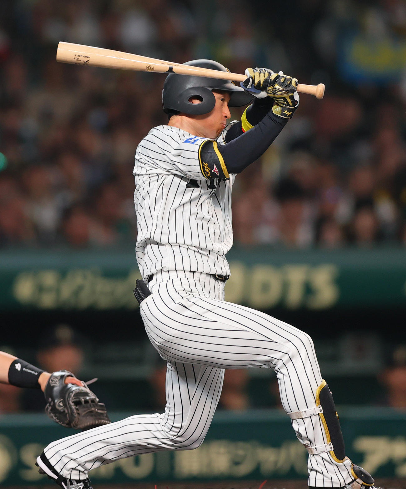 阪神対オリックス　6回裏阪神無死一塁、近本は右前打を放つ（撮影・上山淳一）