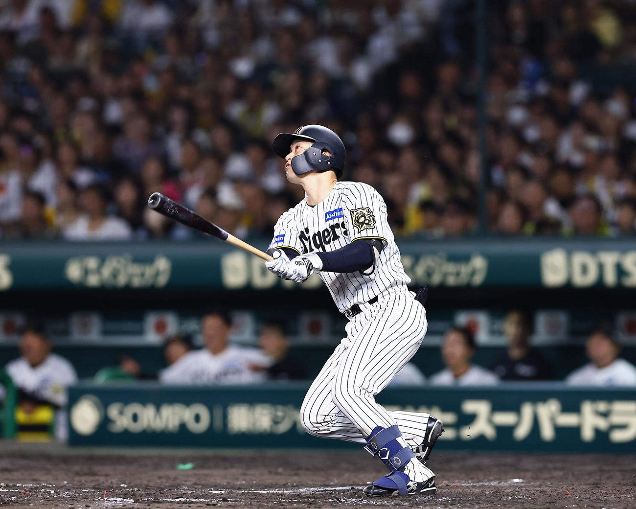 阪神対オリックス　8回裏阪神2死一、二塁、坂本は左越えに3点本塁打を放つ（撮影・藤尾明華）
