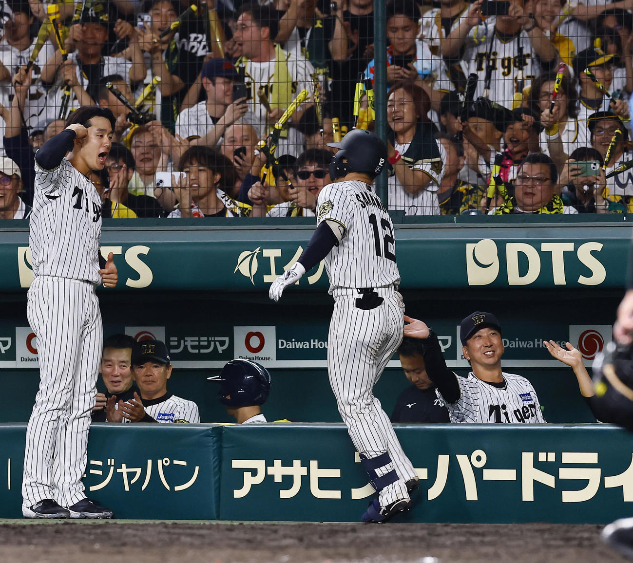 阪神対オリックス　8回裏阪神2死一、二塁、左越えに3点本塁打を放った坂本を出迎える藤川監督（右）（撮影・藤尾明華）