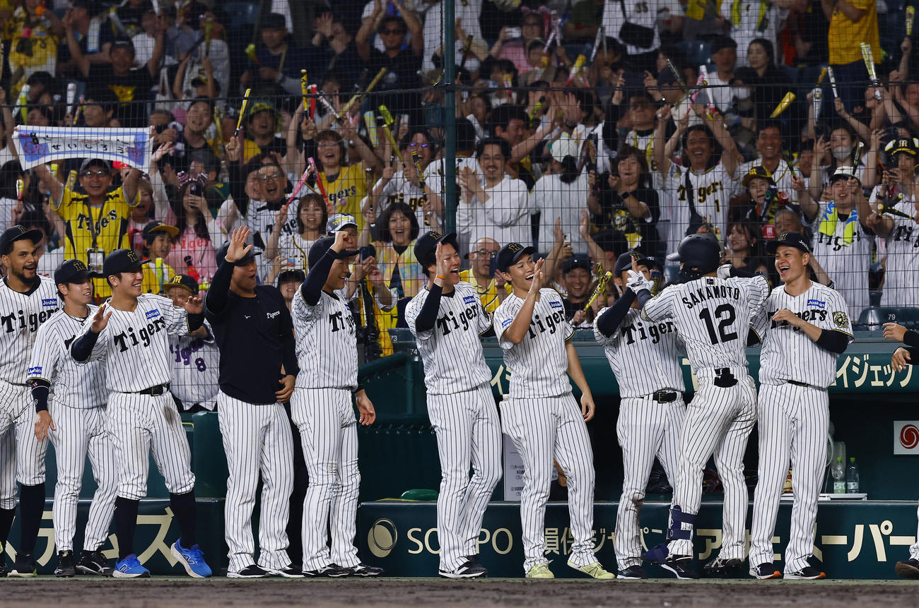 阪神対オリックス　8回裏阪神2死一、二塁、左越えに3点本塁打を放った坂本を出迎える阪神ナイン（撮影・藤尾明華）