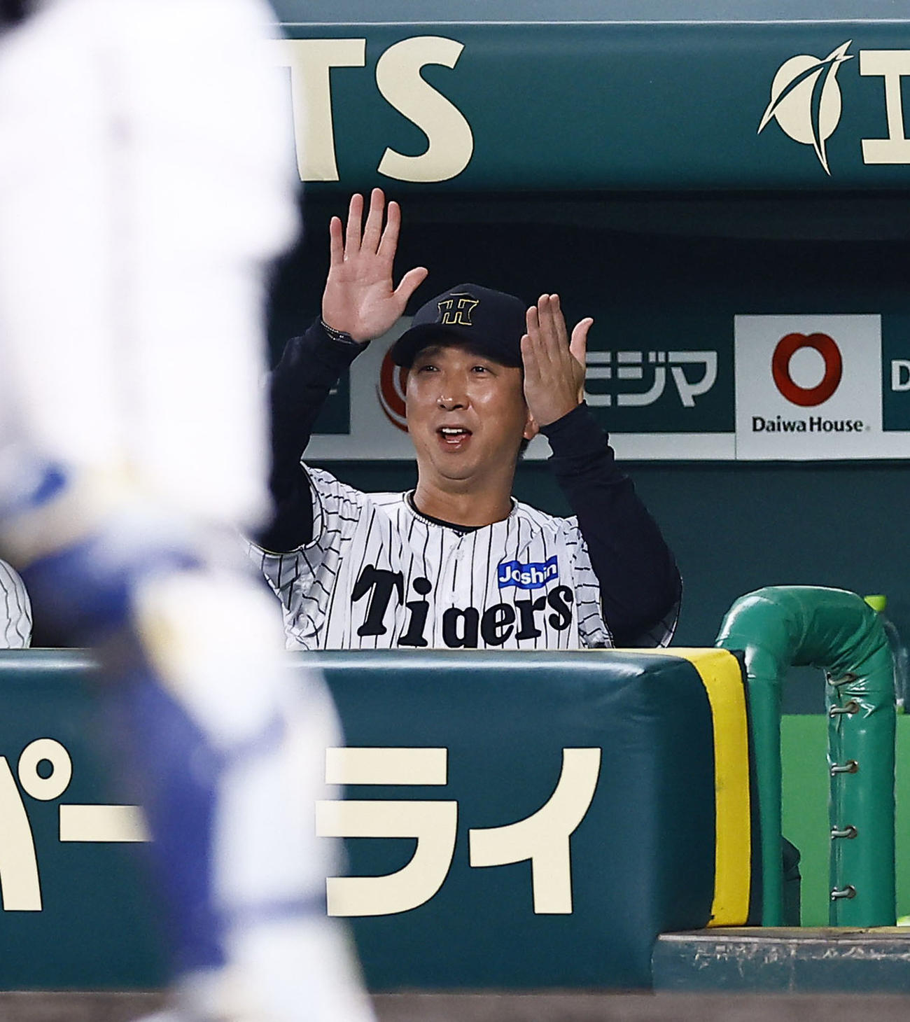 阪神対オリックス　5回裏阪神1死、熊谷の左飛で、審判に確認する藤川監督（撮影・藤尾明華）